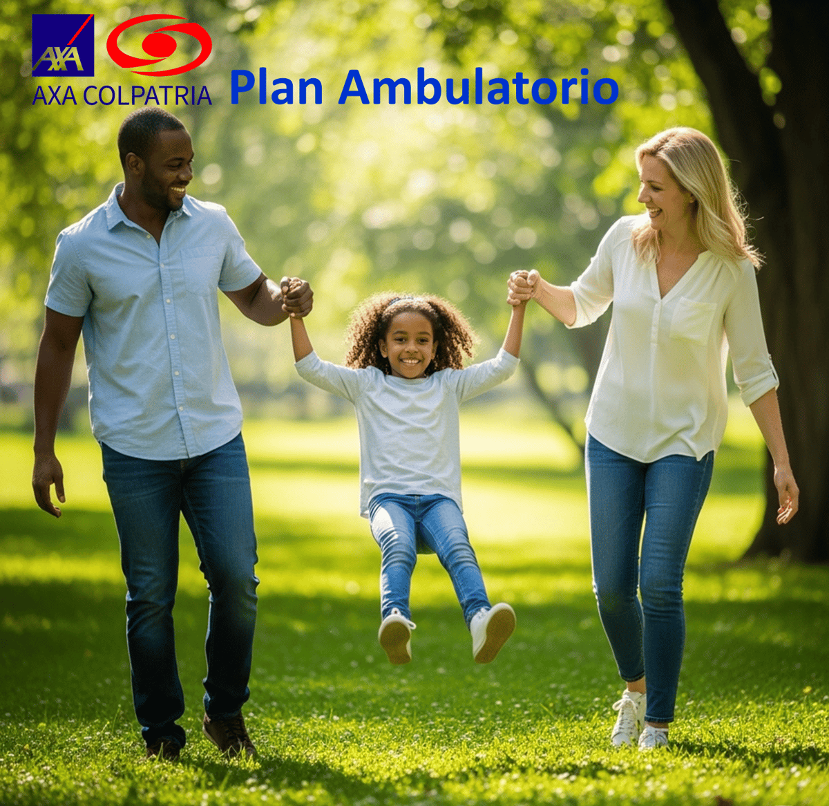 Plan Ambulatorio